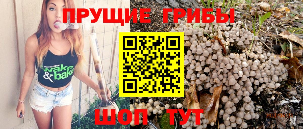 Галлюциногенные грибы ЛСД Чусовой